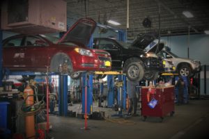 Cars on lifts being worked on